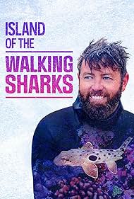 Island of the Walk
