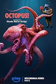 Octopus (2025-)