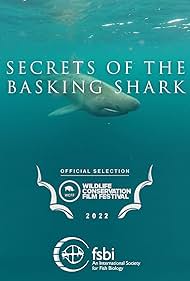 Secrets of the Bas