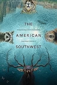 The American South