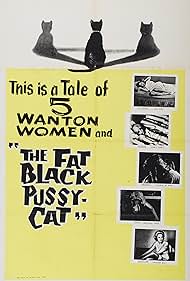 The Fat Black Puss