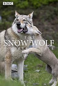 The Snow Wolf A Wi