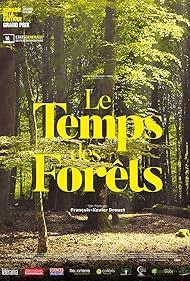 The Time of Forest