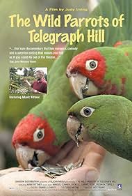 The Wild Parrots o