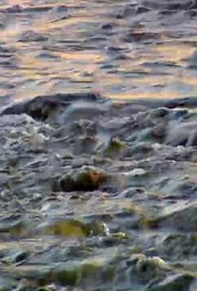 River of No Return