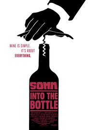 SOMM: Into the Bot