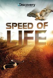 Speed of Life (201