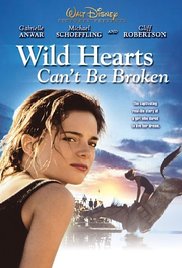 Wild Hearts Cant B