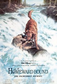Homeward Bound: Th