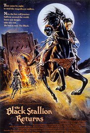 The Black Stallion