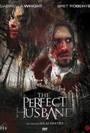 The Perfect Husban