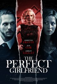 The Perfect Girlfr