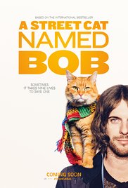 A Street Cat Named