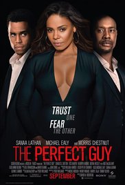 The Perfect Guy 20